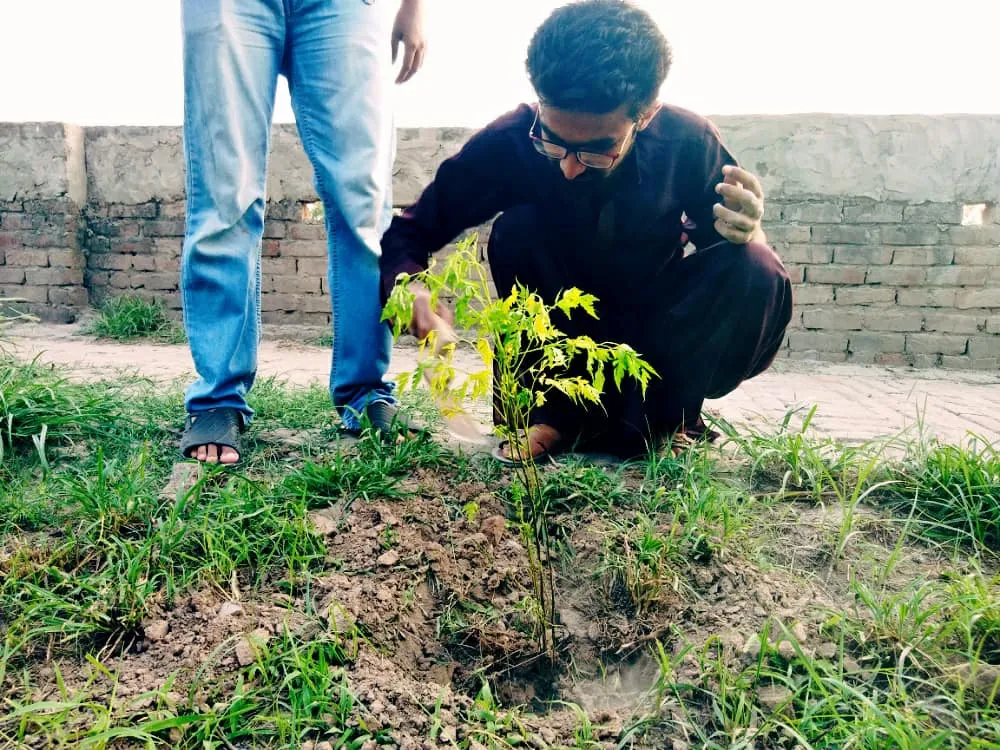 Green Seekers Activity